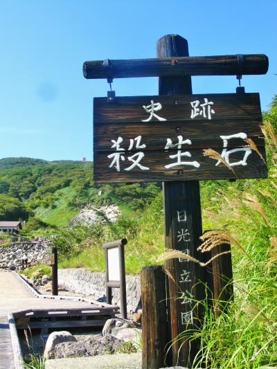 那須Walk3/3 史跡 殺生石～温泉神社/参拝 ☆御神木:《五葉松・生きるミズナラ》