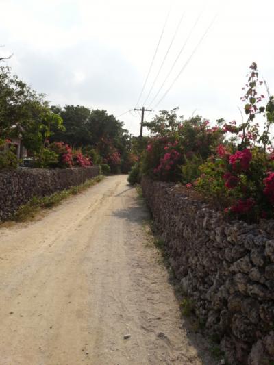 台風と幼児ともに沖縄～石垣島 1日目、2日目