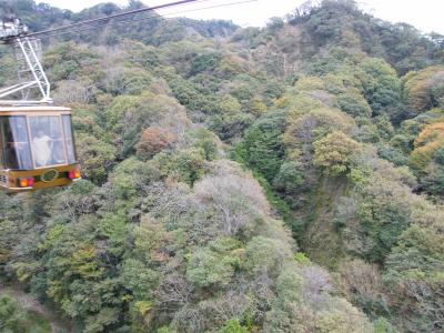 紅葉を楽しむ、富士五湖の旅（久能山東照宮・山中湖、俳句の館風生庵）