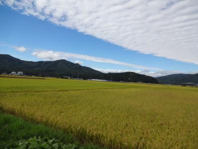 遠野の秋