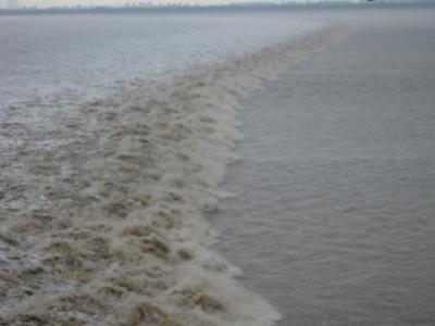 2013 ウィークエンド上海１　～銭塘江の大逆流を見学～