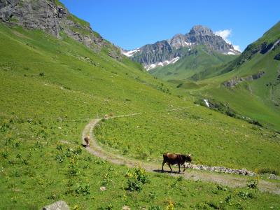 中央スイス：フューレンアルプFürenalpでハイキング（後編）【スイス情報.com】