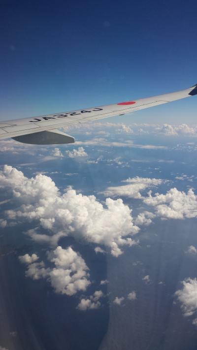 赤ちゃんと飛行機の旅