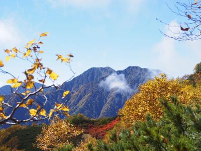 秋の南アルプス/椹島～荒川三山～赤石岳周回　☆①樹林帯をひたすら登る　(*´Д`)ﾊｧﾊｧ