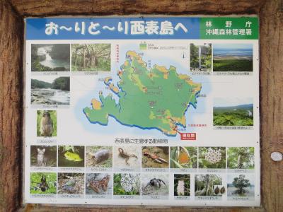 はじめての八重山旅行３日目（西表島観光）