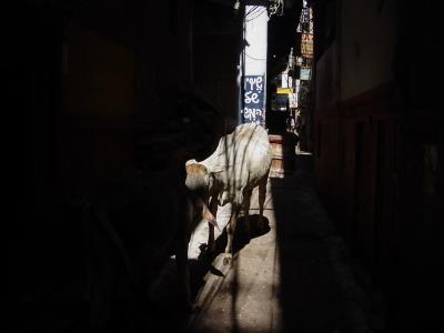 30歳記念バックパッカー引退の旅