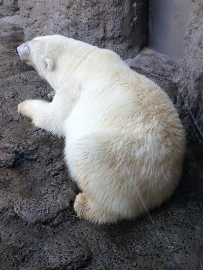 ジェットスターで行く北海道 女子旅☆  ②
