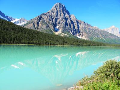 カナディアン・ロッキー＆バッドランド（8/全8）： 帰路, 総集編（自然保護区, 動物, 史跡）
