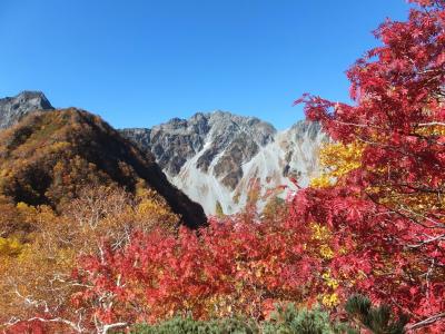 「屏風の耳｣ - 紅葉の聖地「涸沢｣を眼下に穂高連峰～槍ヶ岳を一望する