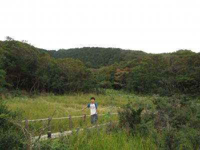 東海のミニ尾瀬　葦毛湿原・岩崎自然歩道