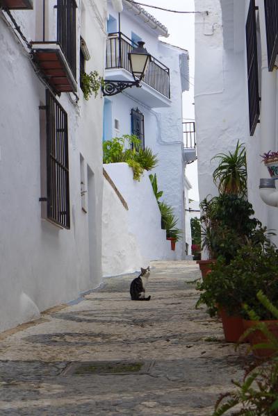 スペイン　駆け足旅　&#10047;フリヒリハナ&#10047;