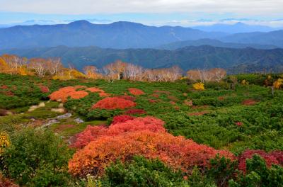 2013年紅葉名所巡り（３）　乗鞍エコーラインの紅葉