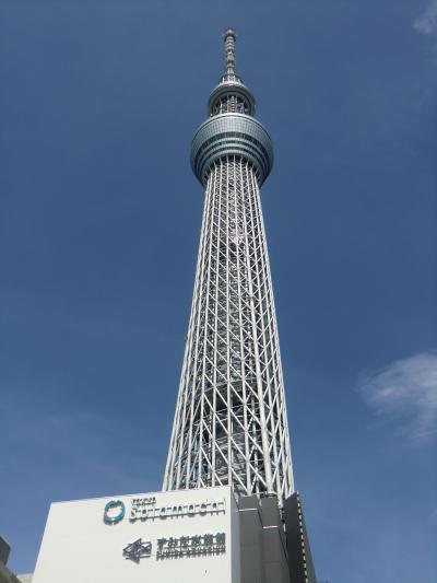 東京観光☆ディズニーシー