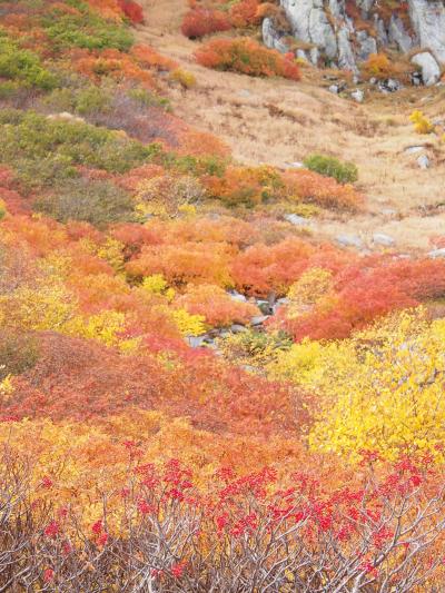 紅葉真っ盛り、木曽駒ヶ岳へひとり登山。