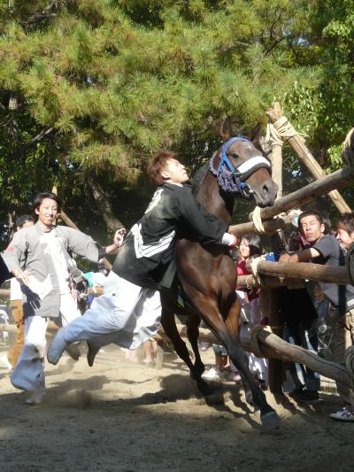 緒川地区の豊年を祝う『おまんと祭り』