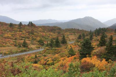 紅葉が見頃と。。。栗駒山へ