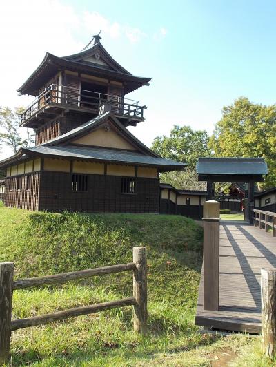 「茨城県・・・の　里山」を　ブラ～リ！と　歩こう。の　日帰り！ドライブ旅」　（戦国時代の　城！を　復元・・・の　『逆井城』。　ドキッ！　遭遇した・・・ヘビくん。は、「マムシだったの？？？　お父さん」）