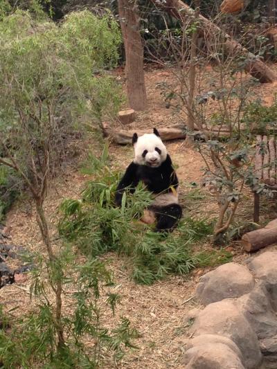 シンガポール 遊び編