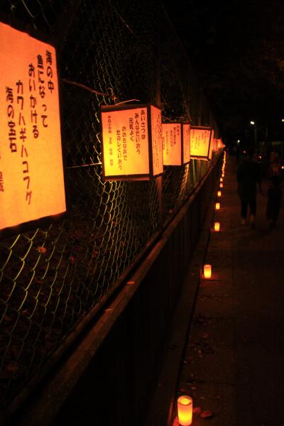 兵庫県・高砂★光のイベント～たかさご万灯祭2013