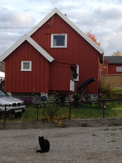 沿岸急行船（フッティルーテン）で秋のオーロラ旅２日目～ノルウェー、デンマーク