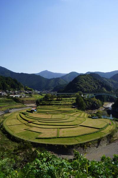 だんだんと秋らしくなったきた有田川町に ♪♪♪