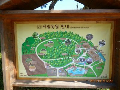 韓国ソイル農園　と　韓国民族村　訪問記