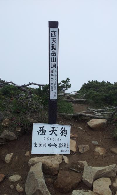 唐沢鉱泉から天狗岳登山