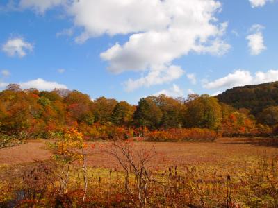 天生（あもう）県立自然公園（岐阜県）で秋色トレッキング