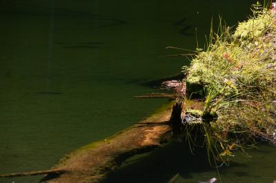 カスケード・ループを走る(04) 幻想的なHidden Lake ~2013年夏休み~