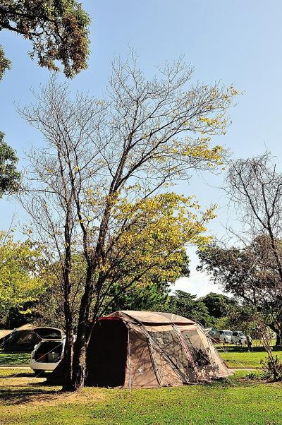 越前三国秋キャンプ