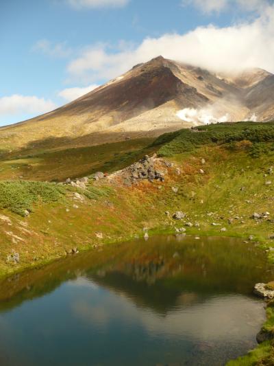 北海道は“大陸”だった！　道内２千キロ走破、バスの旅ーその２・一面のお花畑と雄大な旭岳 《後編・旭岳と滝とキタキツネ!?》ー　