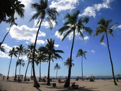 女三人衆☆ハワイ島＆オアフ島6日目～9日目