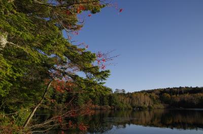 長野県　遅めの紅葉　～八千穂高原・白駒池～
