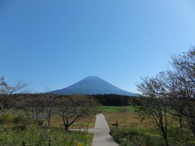 今回の秋旅は、いろんなトコから富士山を見る☆静岡版＠三保の松原～富士山が見える道の駅＠