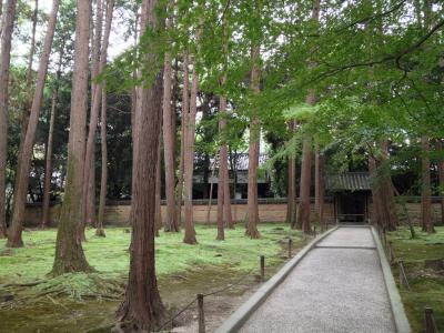 奈良は歩いてなんぼ