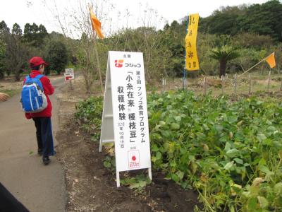 第3回フジッコ食育プログラム『”「小糸在来」種”枝豆収穫体験』当選