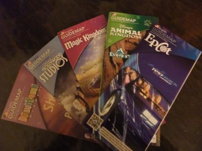 30歳記念旅行！ディズニーワールド７日間