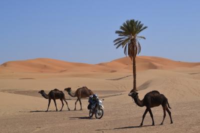 じじいのバイク一人旅１９(続続モロッコ・一時帰国編)