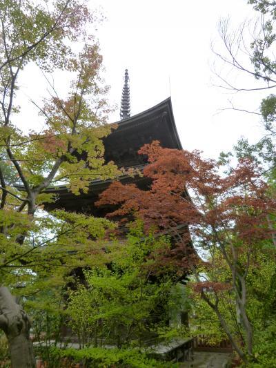 秋の信州　上高地と別所温泉の旅♪　Ｖｏｌ２２（第３日目午後）　☆上田：国分寺の三重塔を鑑賞♪そして帰京♪