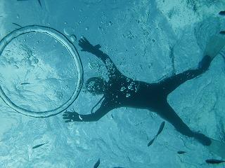 石垣　２０１３．１０（カクレクマノミ）