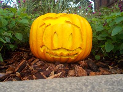 家族で最後のTDR！