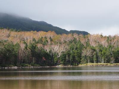 深まる秋を感じに、雨池から縞枯山・茶臼山。