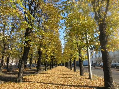 秋のリガはカワイイものだらけ☆