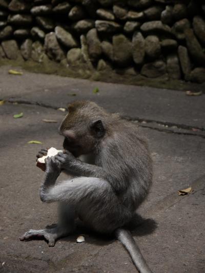 新婚旅行はバリへ【１日目】