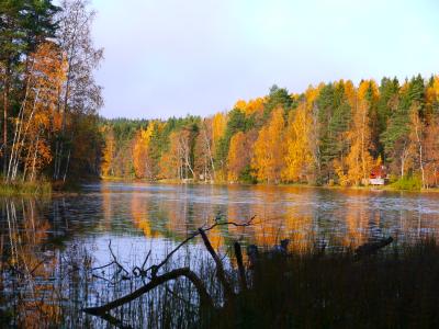 黄葉真っ盛りの北欧４ヶ国周遊　　（1）フィンランド　★ヘルシンキでハイキング