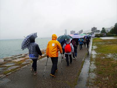 雨の琵琶湖畔　　健康ウオーキング2013