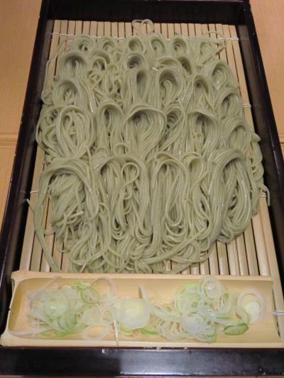 青春18きっぷで 雪の北陸へ part1 <上野出発～寺泊>