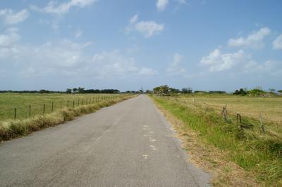 八重山島巡りの旅(石垣島・竹富島・小浜島・黒島）３日目（黒島）