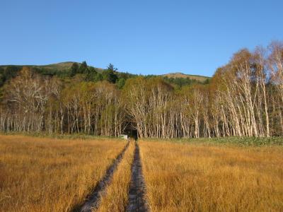 星と草紅葉に憧れて・・・尾瀬