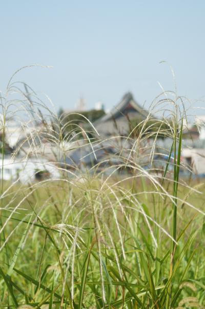 初秋の笠寺界隈漂流